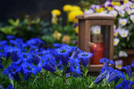A lantern with blue flowers in the background