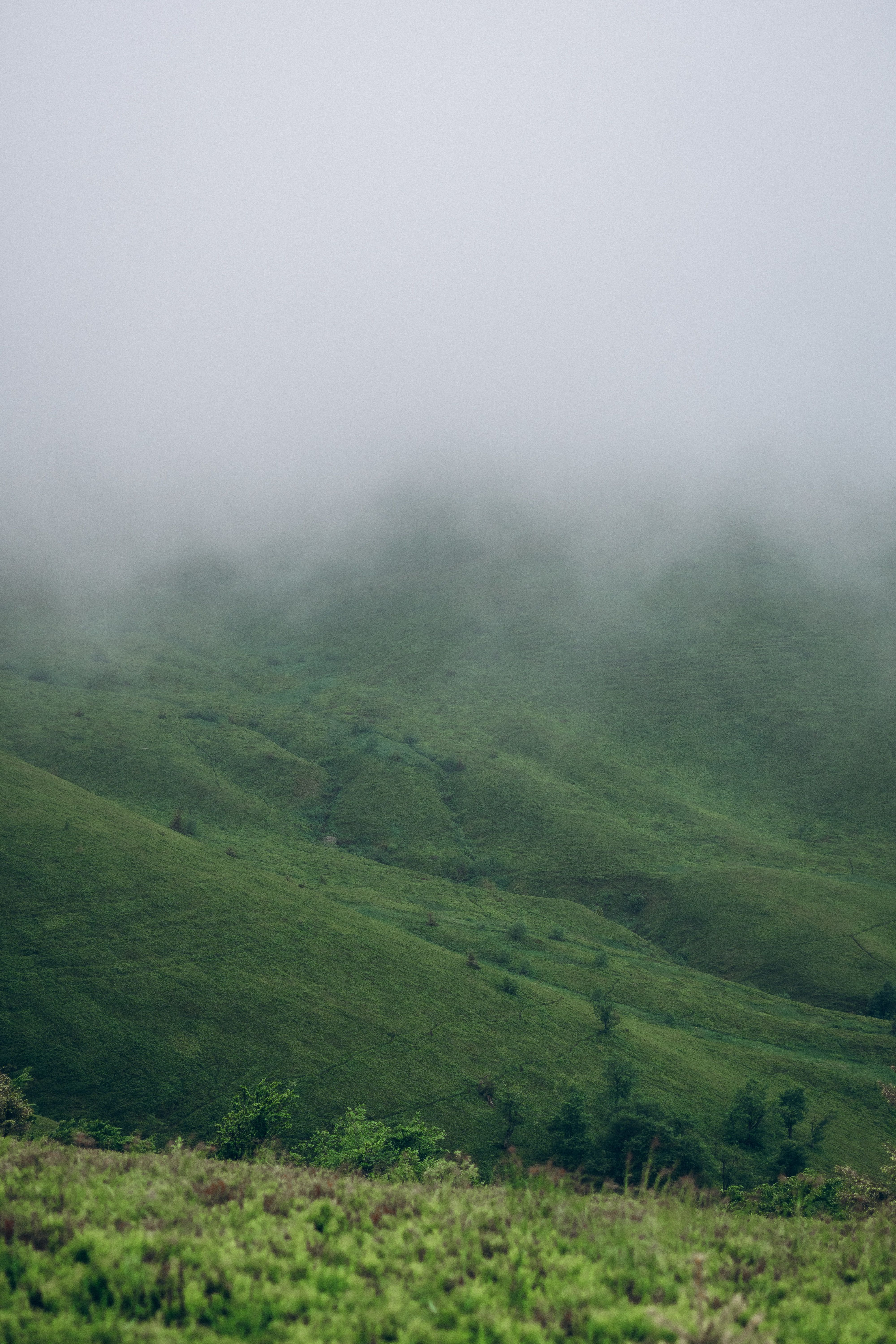 A green hill covered in fog and mist · Free Stock Photo