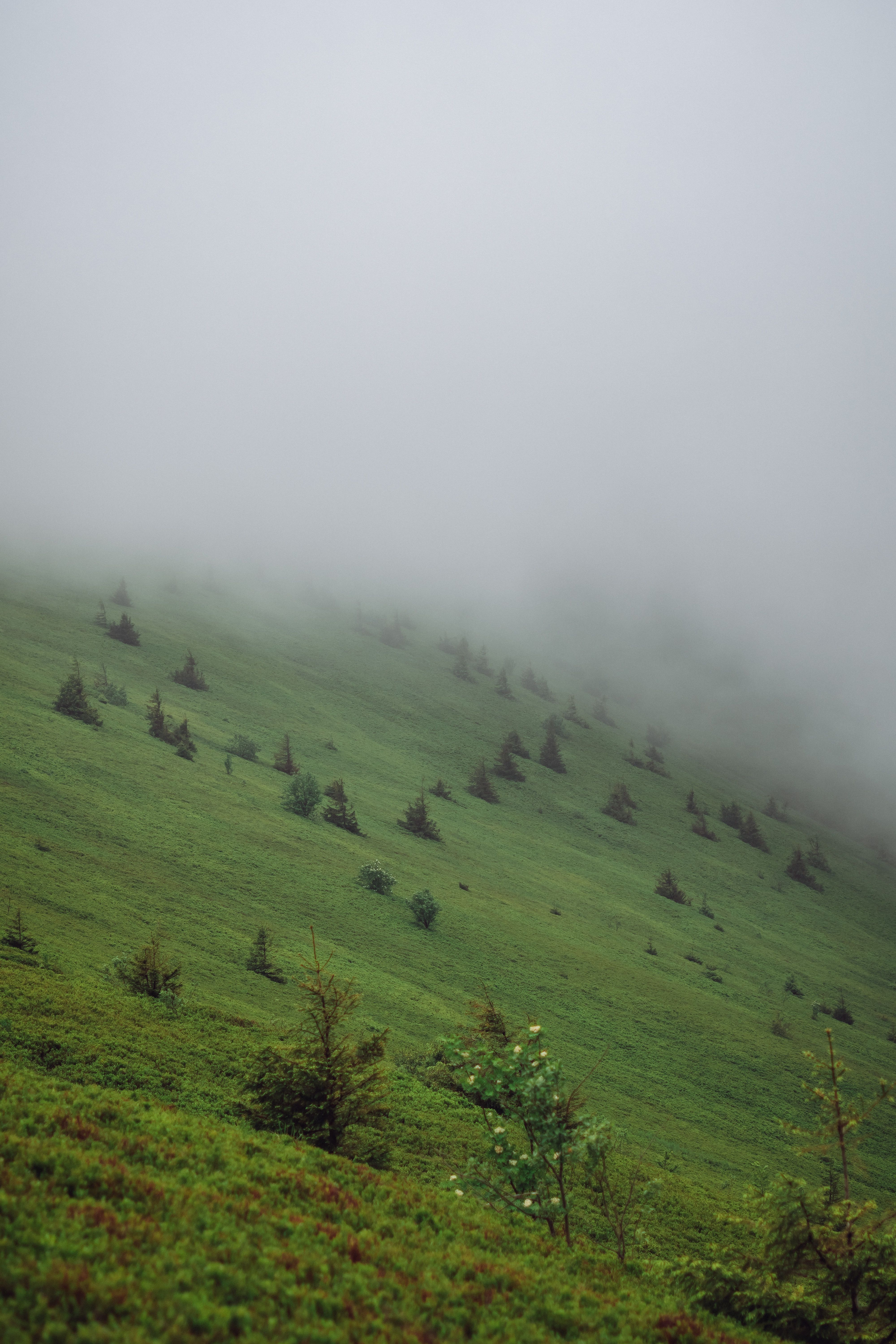 Scenic View of Green Hills under a Cloudy Sky · Free Stock Photo