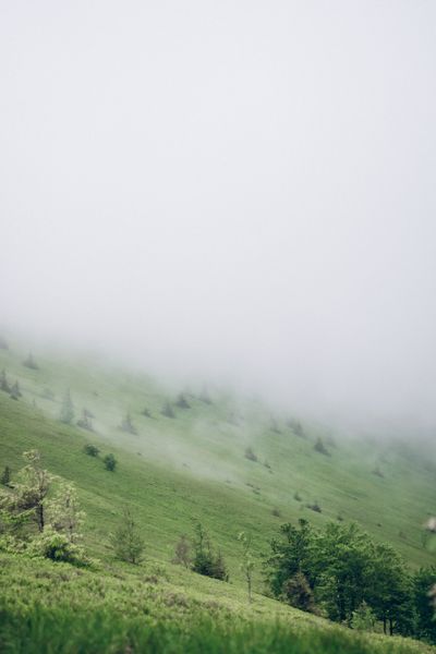 Mist settling over a green hillside — Sandra Zhupanska on Pexels