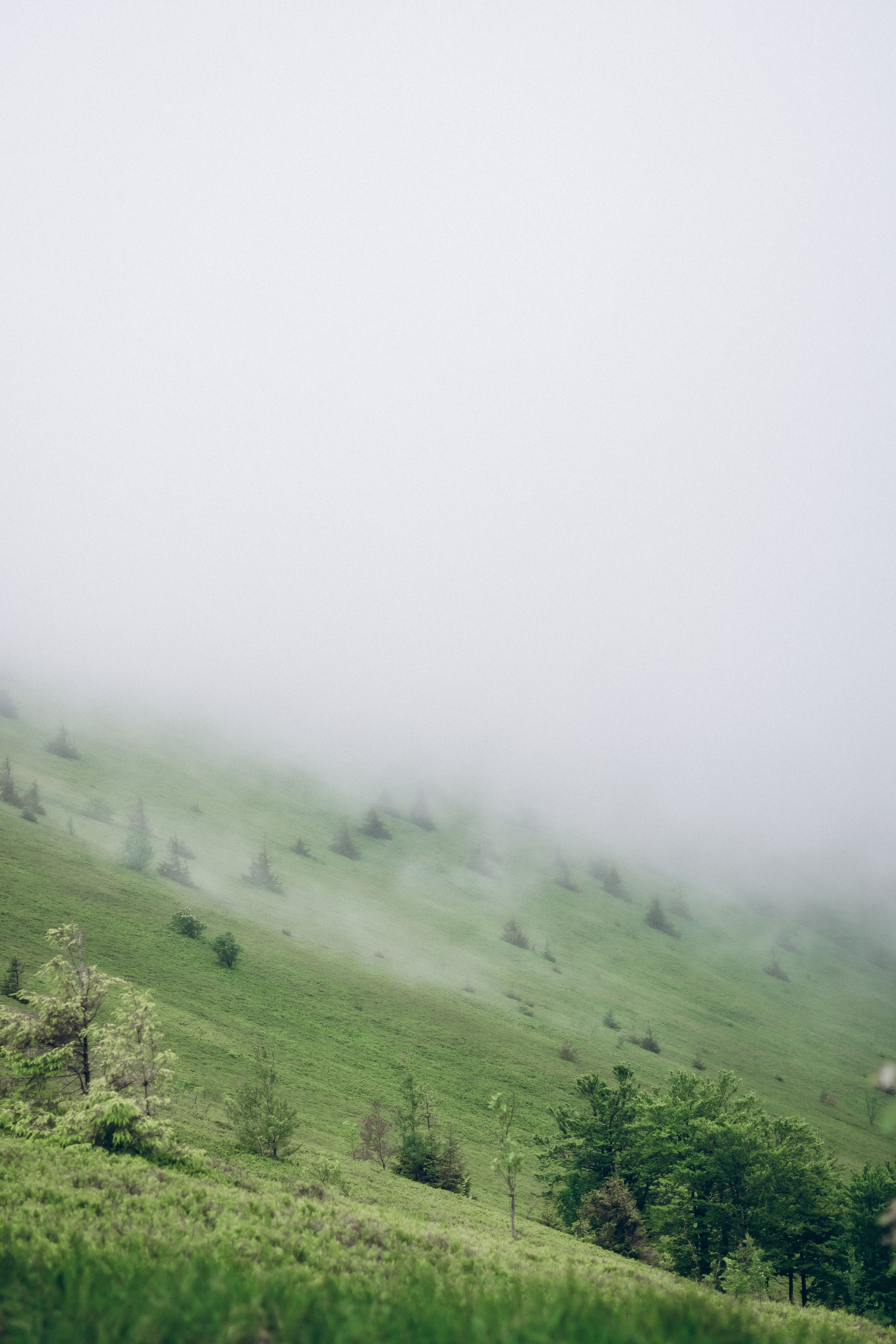 Scenic View of Green Hills under a Cloudy Sky · Free Stock Photo