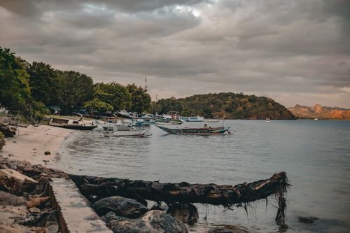 Free Capture of a serene tropical beach with traditional boats moored along the shore on a cloudy day. Stock Photo