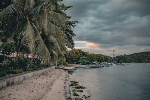 Free stock photo of beach, beach shore, beach sunset