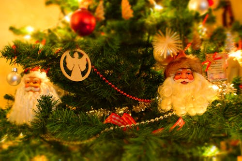 Ingyenes stockfotó dekoráció, Karácsony, karácsonyfa témában Stockfotó