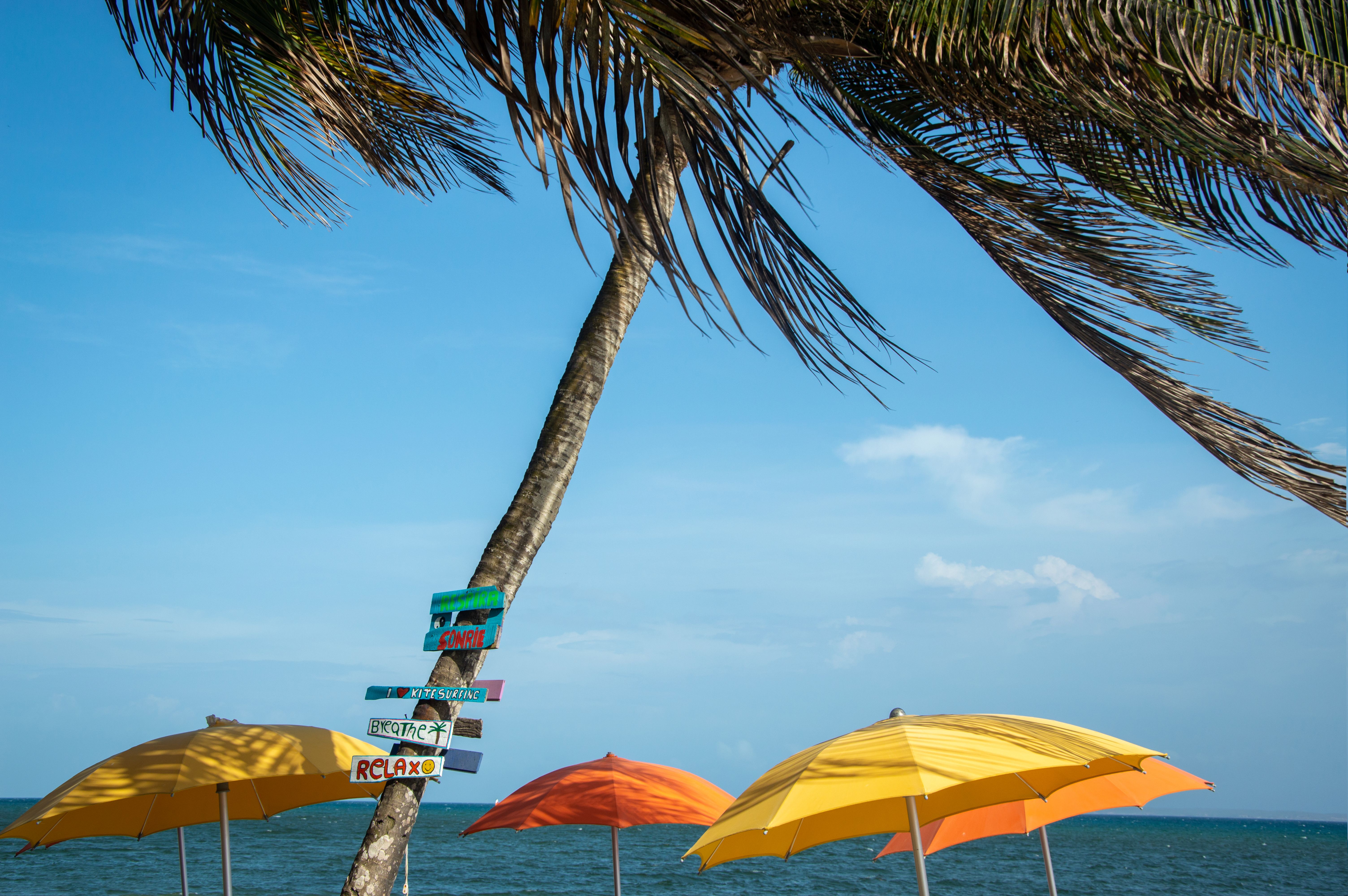Ndogo Island Beach view 3