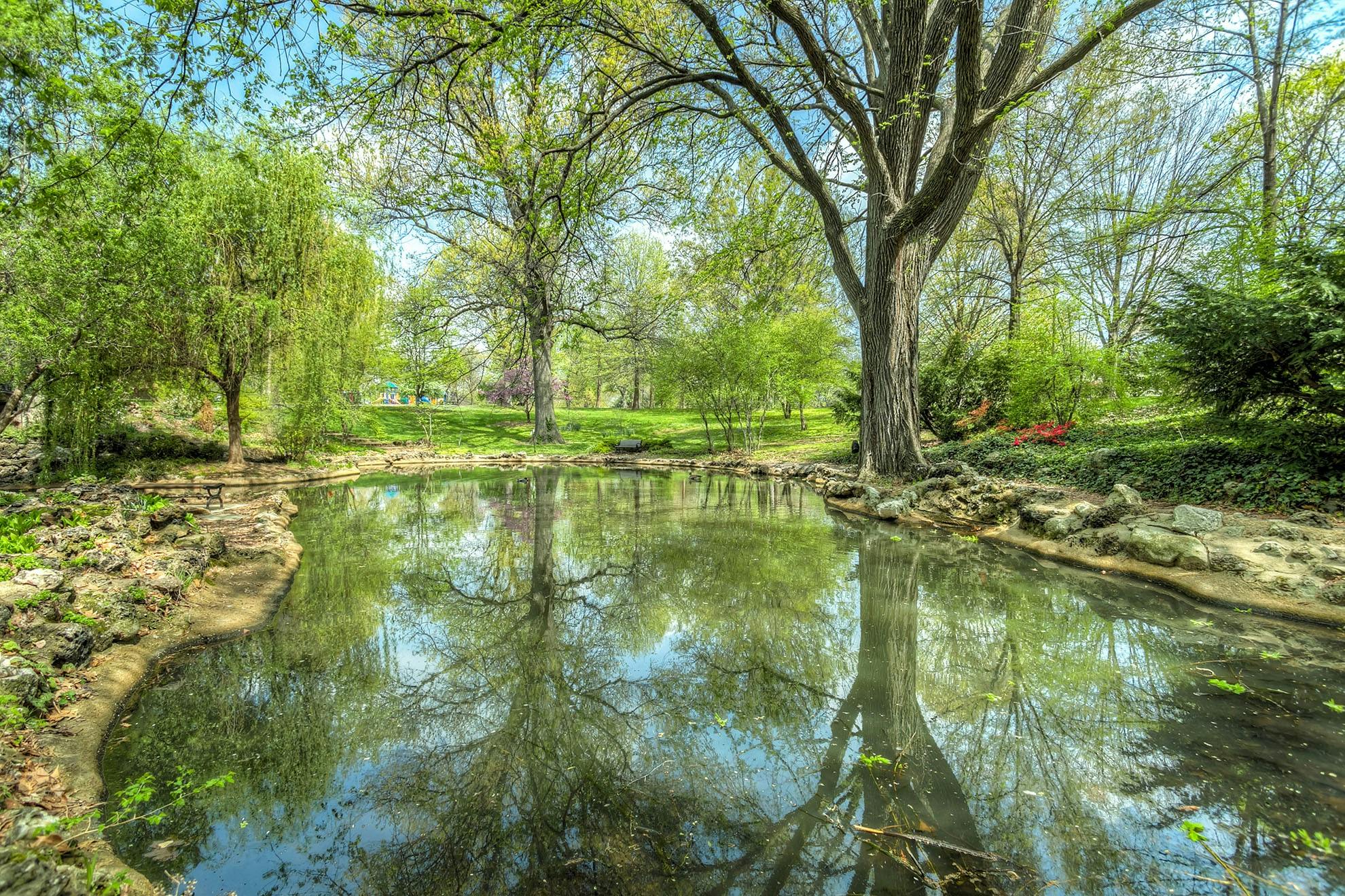 Pond Photos Download The BEST Free Pond Stock Photos  HD Images