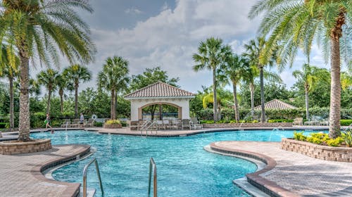 免費 棕櫚樹種植在游泳池附近 圖庫相片