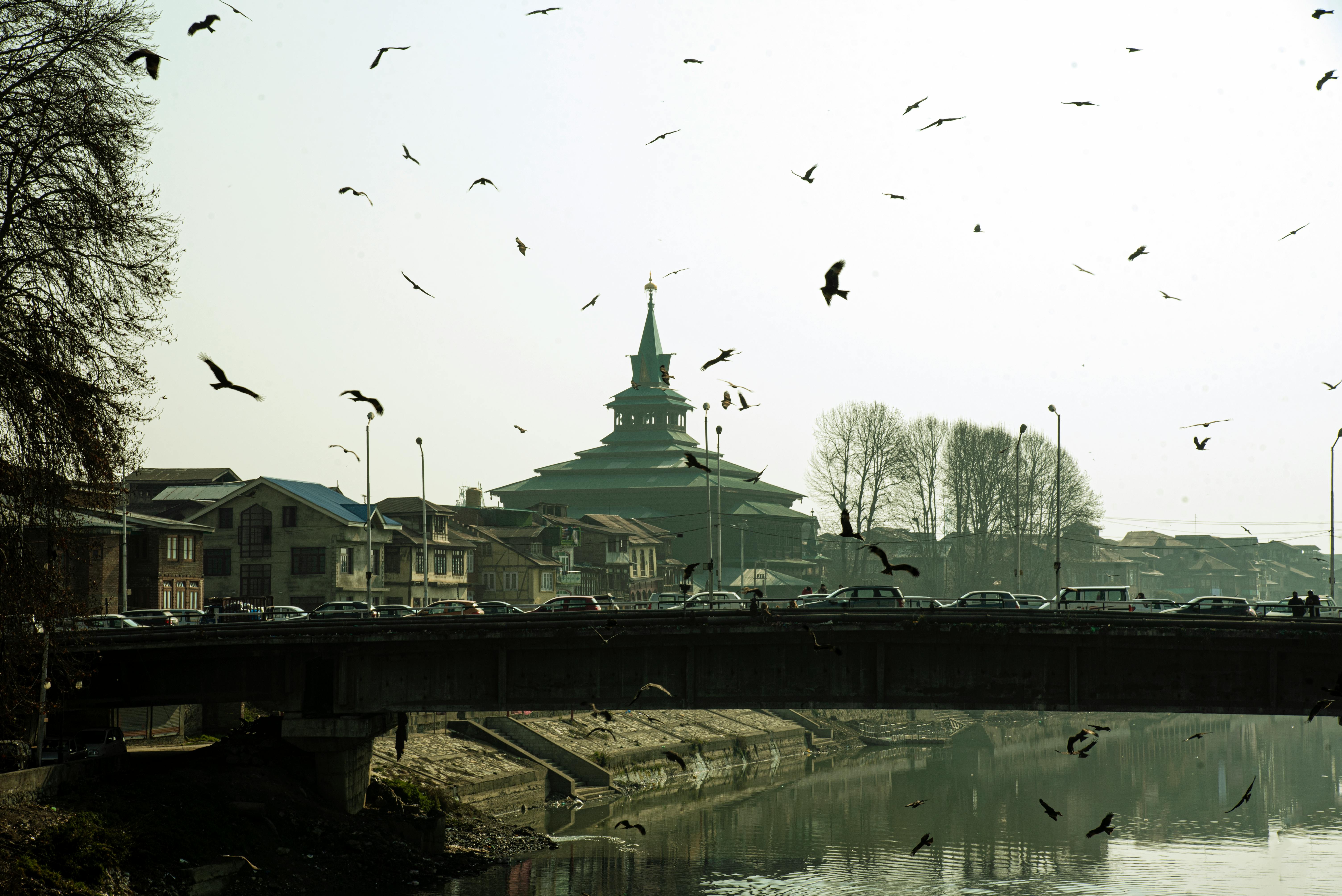 Innovative Uses for Rare Earths in Electric Vehicles