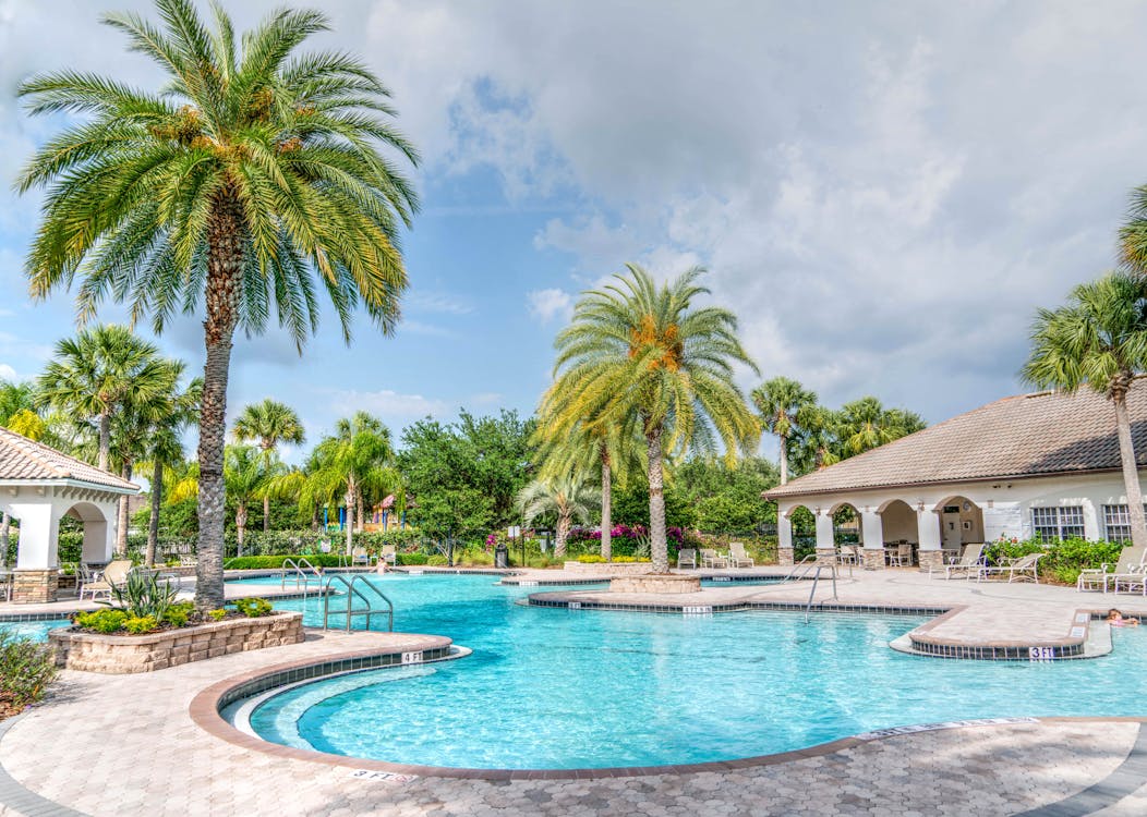 Free Swimming Pool Near Palm Tree Stock Photo