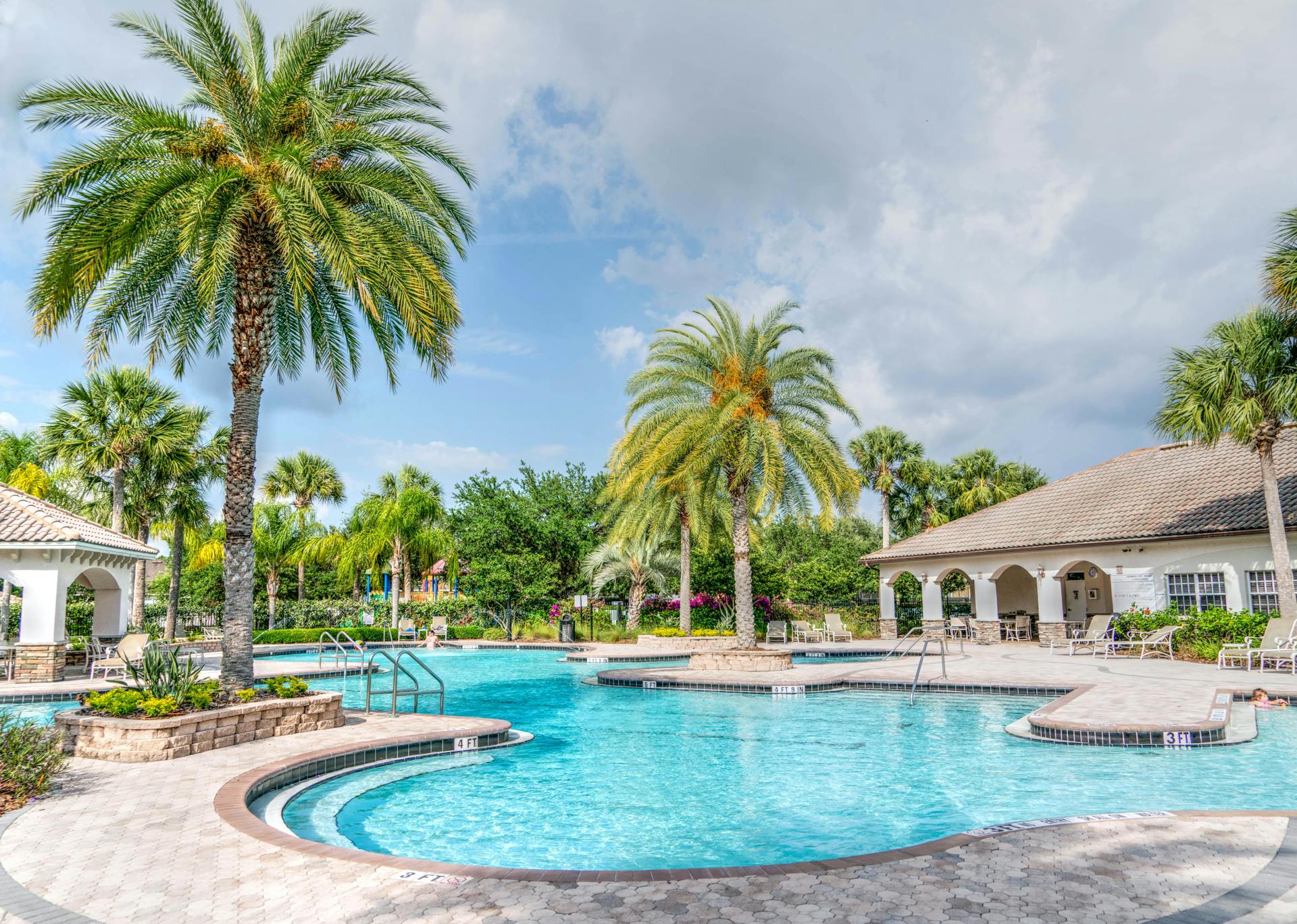 Swimming Pool Near Palm Tree