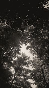 Image by Salih Sezgen