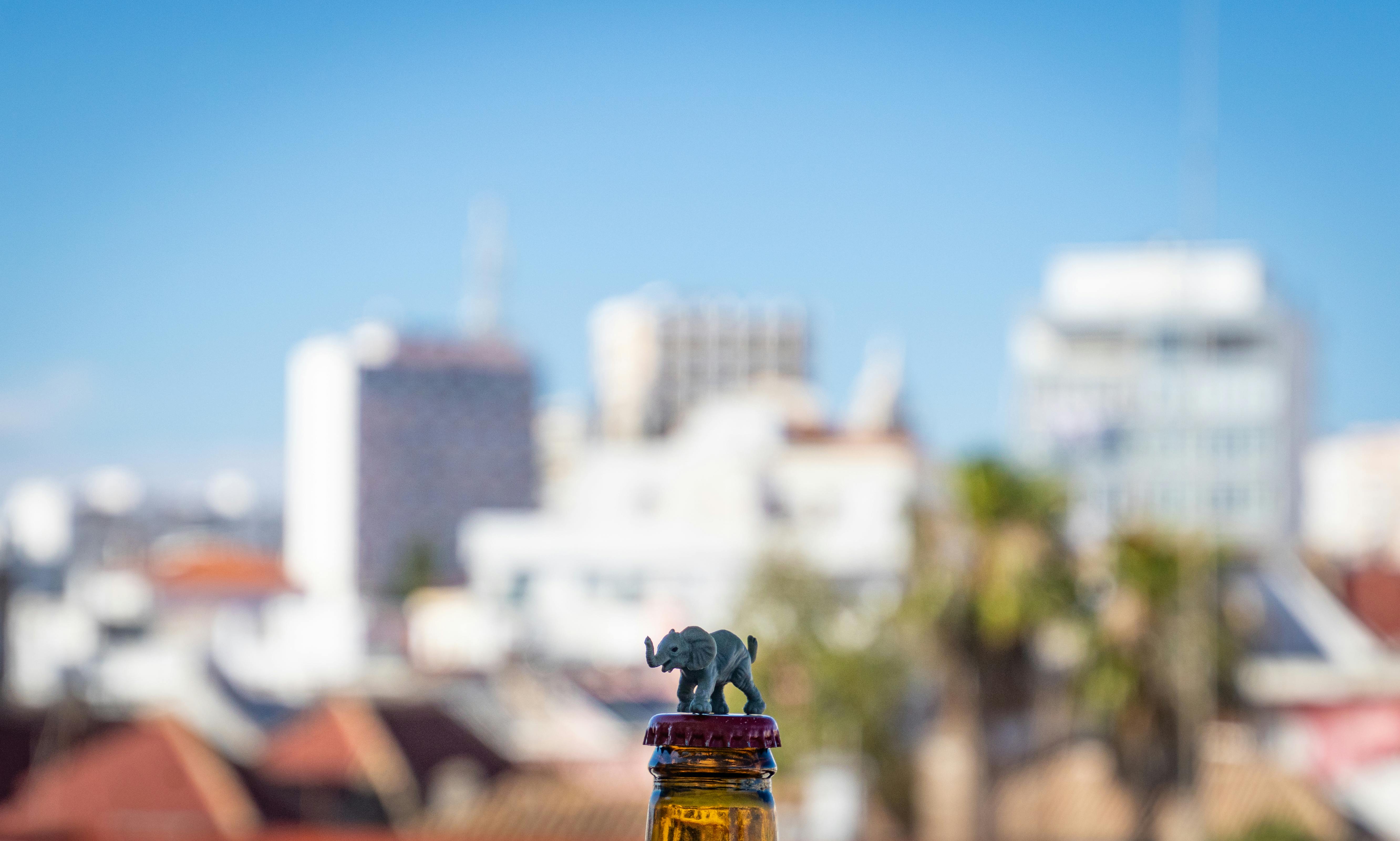 Classic car restoration in progress