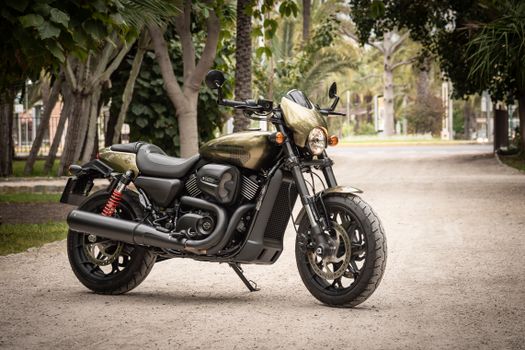 Photo of Black and Brown Harley Davidson 750 Parked on Gravel Road