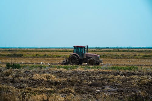 The farmer drives a tractor to cultivate the land, and the birds follow him to eat the insects