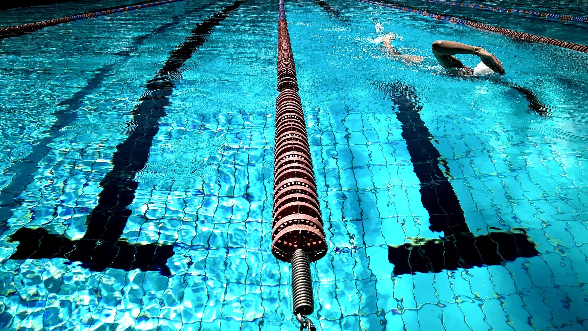 Lane ropes across an empty competition pool