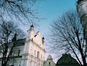 晴朗的天空下，光秃秃的树木映衬着一座美丽的教堂建筑，捕捉到了其优雅的本质