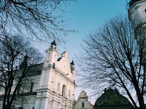 晴朗的天空下，光秃秃的树木映衬着一座美丽的教堂建筑，捕捉到了其优雅的本质