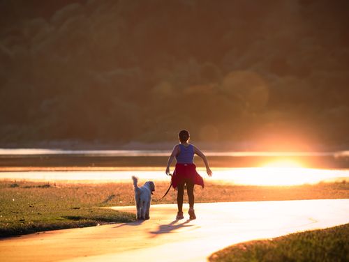 Free A woman walks her dog along a scenic path at sunset, capturing a peaceful moment. Stock Photo