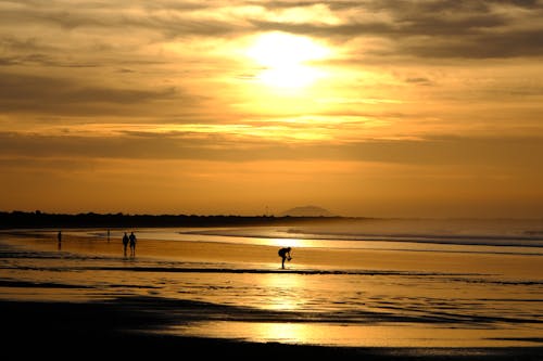 Gratis stockfoto met gele lucht, kust, mensen