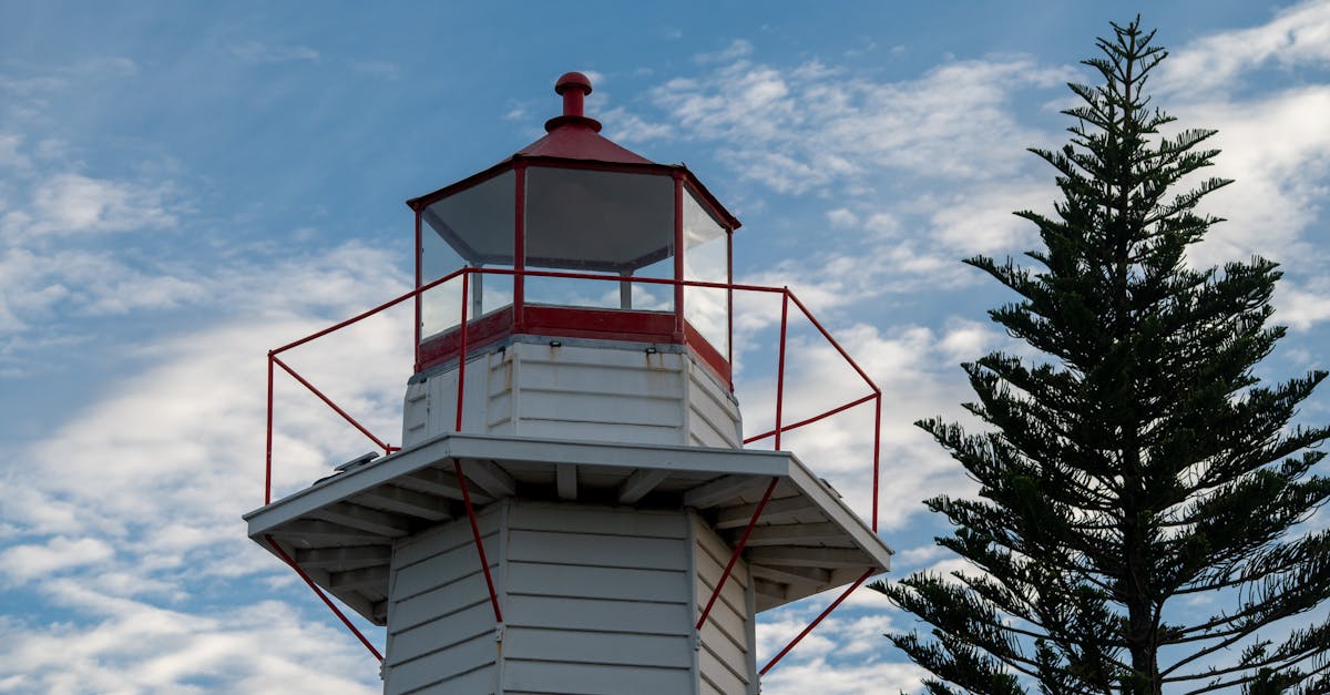 Cleveland Point Lighthouse in Queensland, Australia with a conifer tree under a clear blue sky.