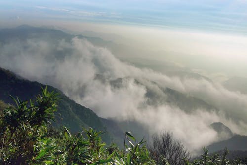 Fotos de stock gratuitas de mañana brumosa, niebla de la manana, niebla en el valle de la montaña