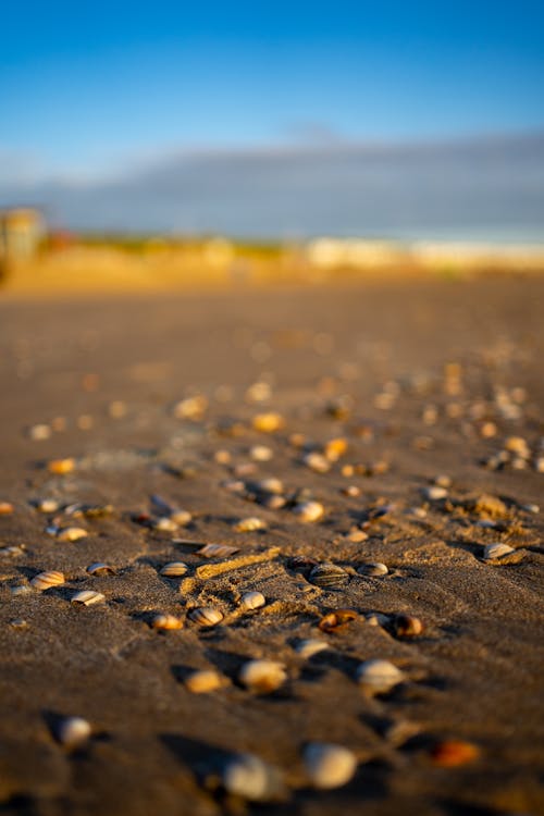 Photos gratuites de à la plage, coucher de soleil, mer