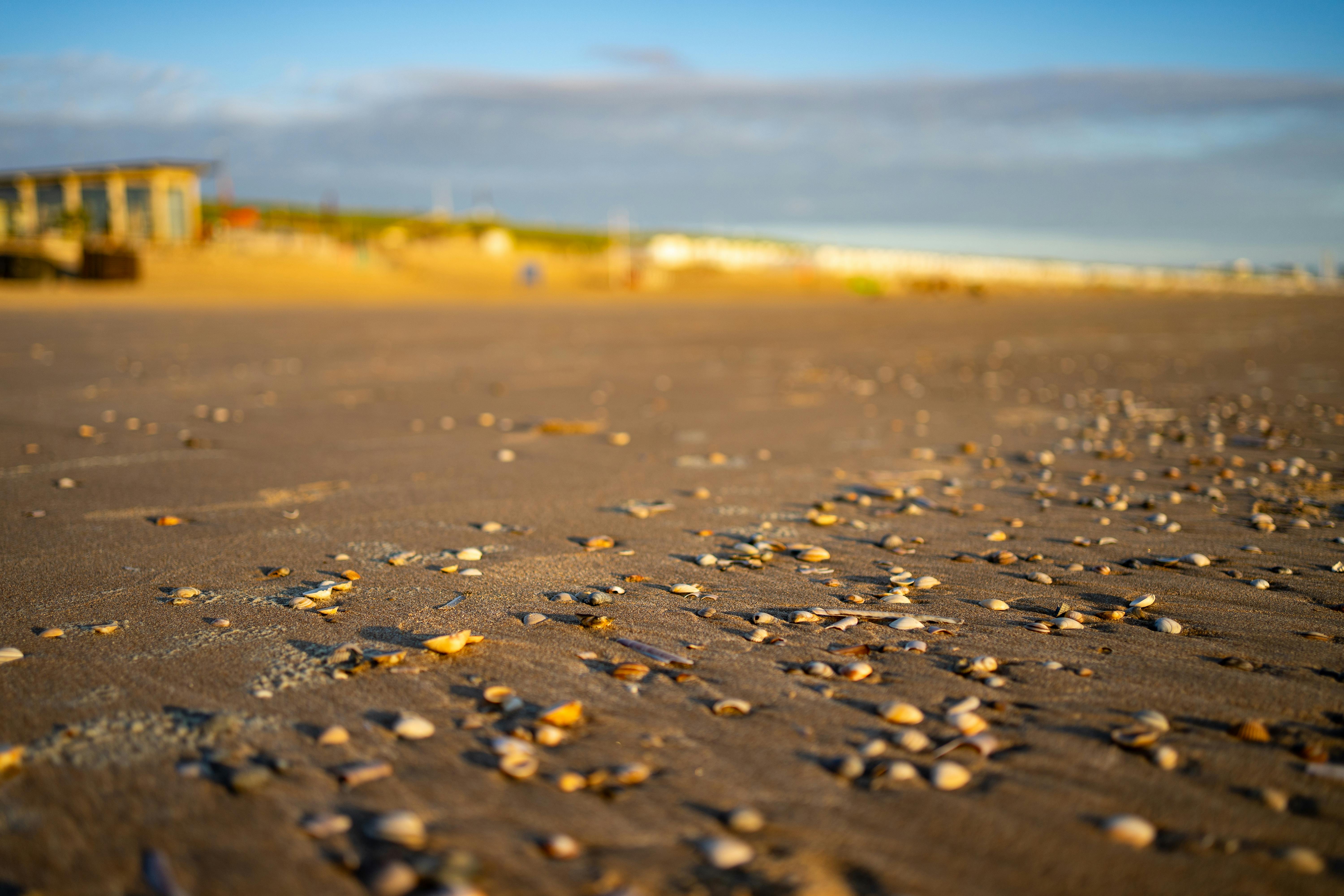 Photo of Bloemendaal