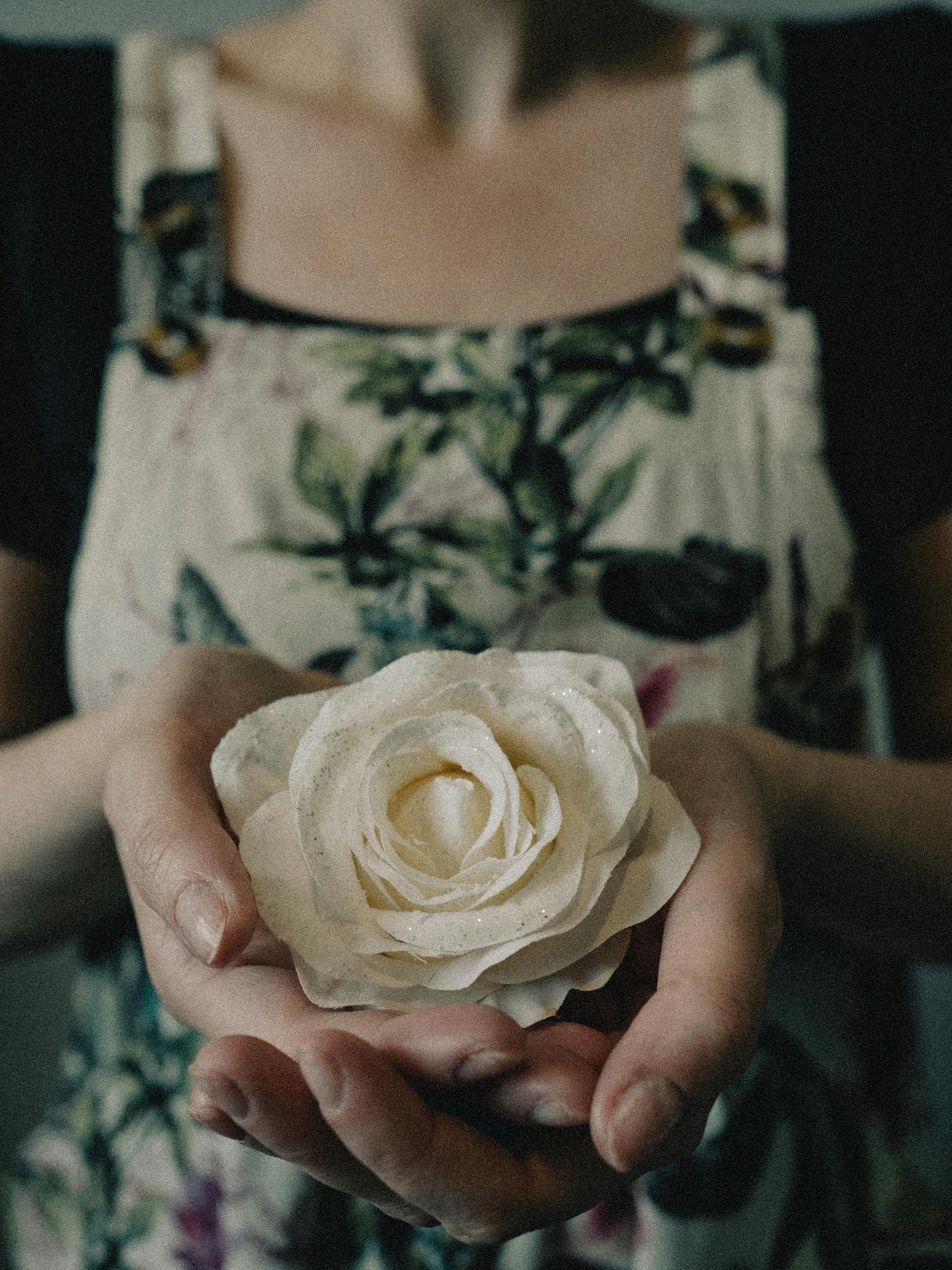 A woman gently holding a delicate white rose, symbolizing beauty and care.