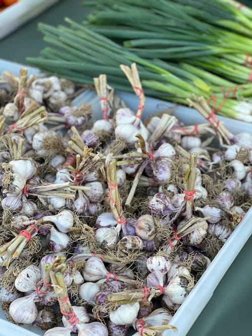 Garlic and onions are displayed at a farmers market