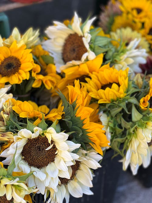 Sunflowers are in a vase at a market