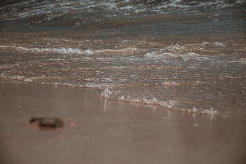 Foto d'estoc gratuïta de aigua, brossa, fons de pantalla oceànic