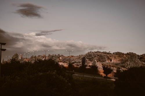 Foto d'estoc gratuïta de arbres, ciutat, medi ambient