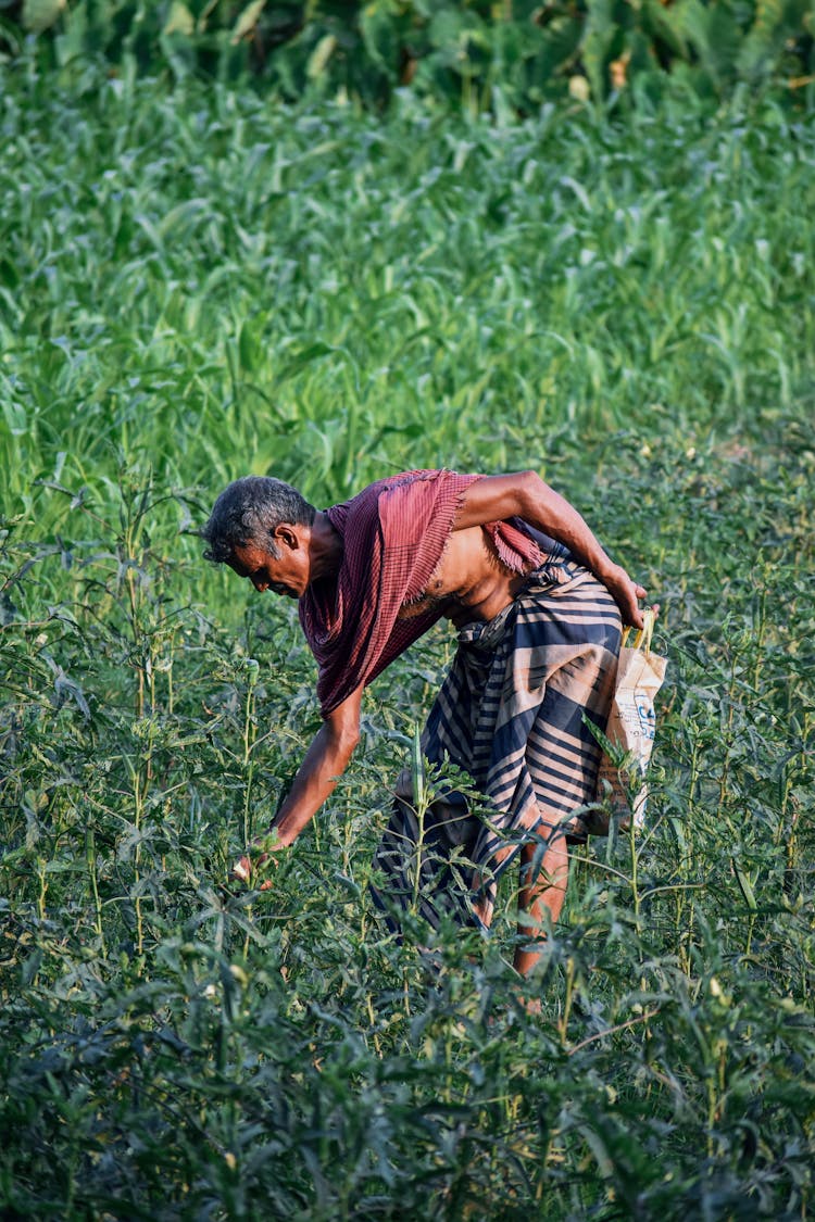 A Man Farming On Cropland