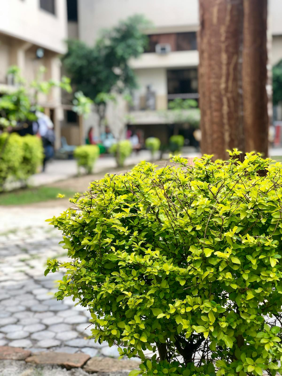 Ocean View Penthouse