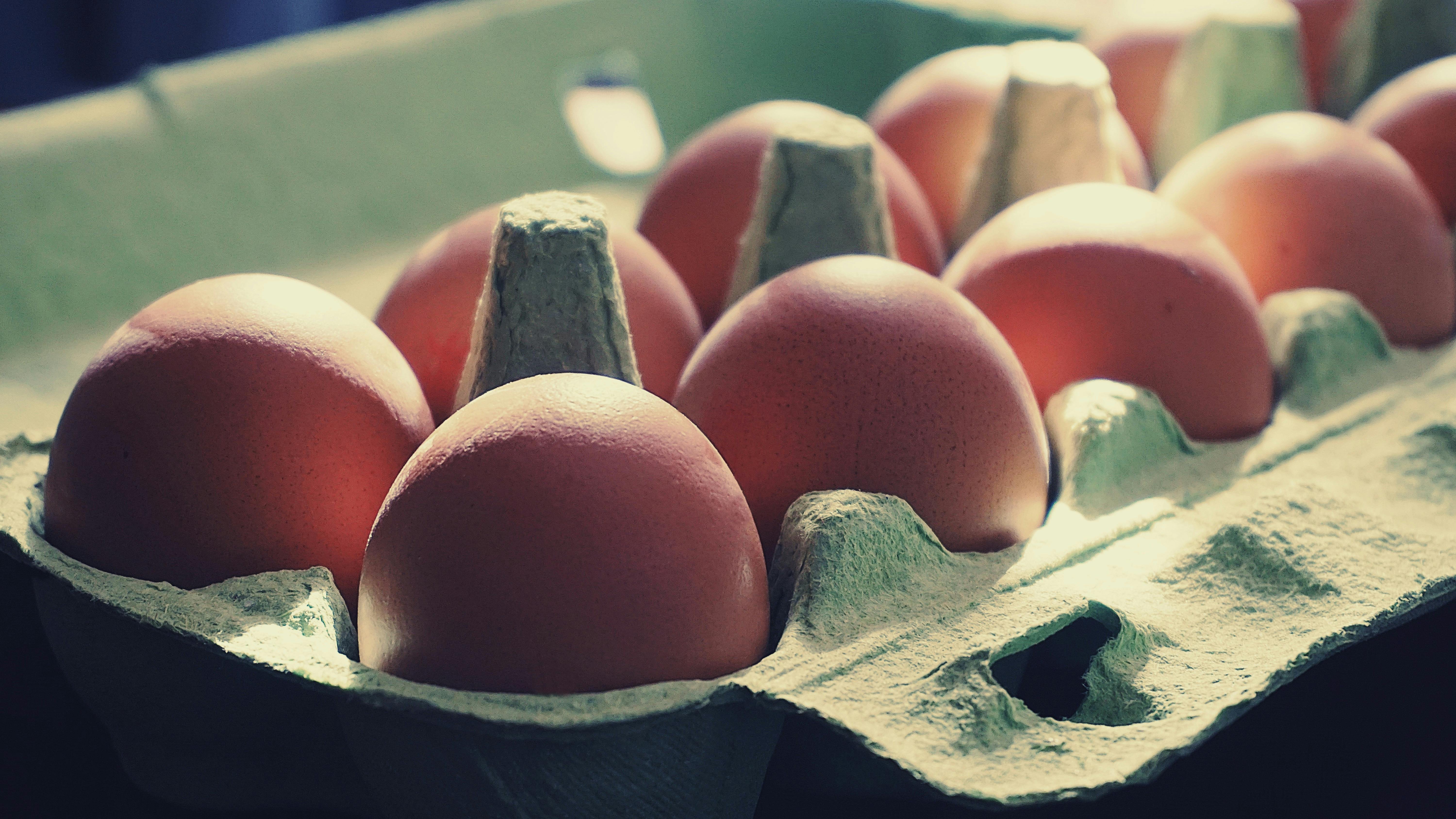 Foto Profissional Gratuita De Alimento, Bandeja De Ovos, Comida