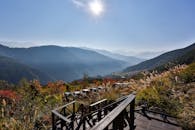 明媚的阳光下，郁郁葱葱的秋叶与木质观景台映衬着令人惊叹的山地景观