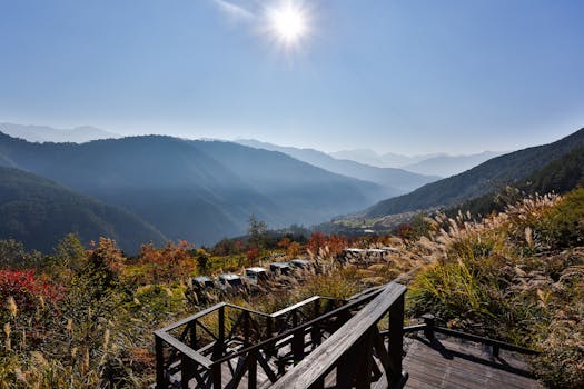 明媚的阳光下，郁郁葱葱的秋叶与木质观景台映衬着令人惊叹的山地景观