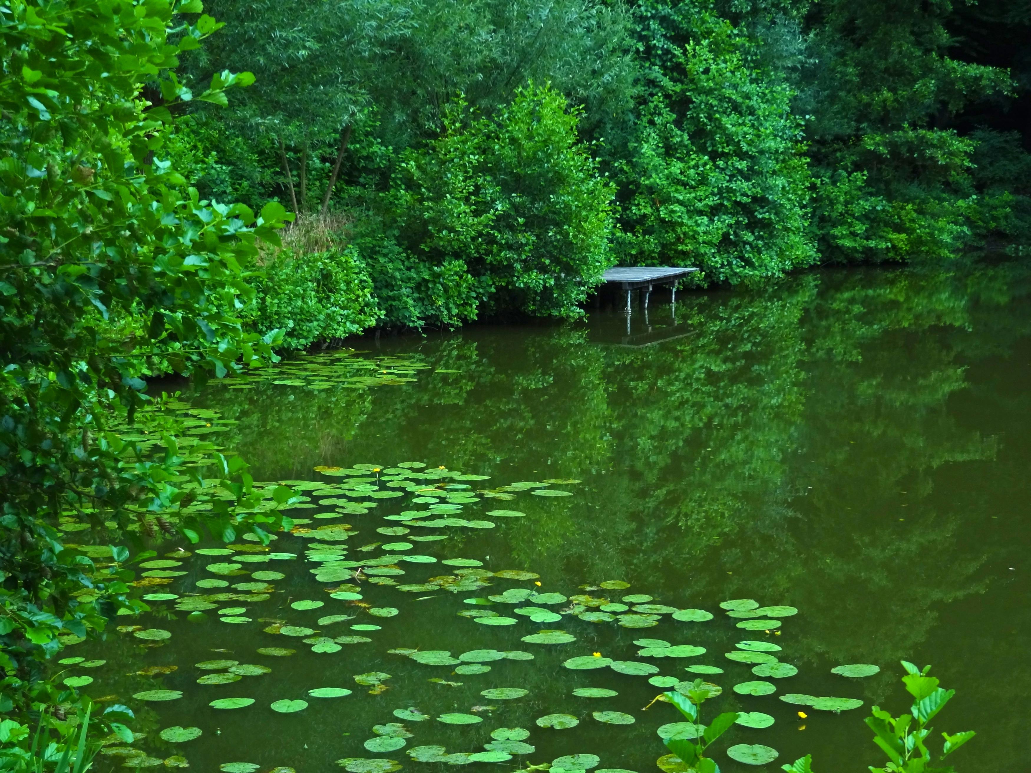 Eau bleue d'une piscine extérieure baignée de soleil avec thermomètre flottant