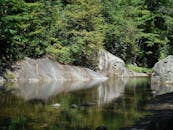 宁静的林溪边，清澈的湖水倒映着岩石，四周郁郁葱葱，呈现出一片静谧的风景