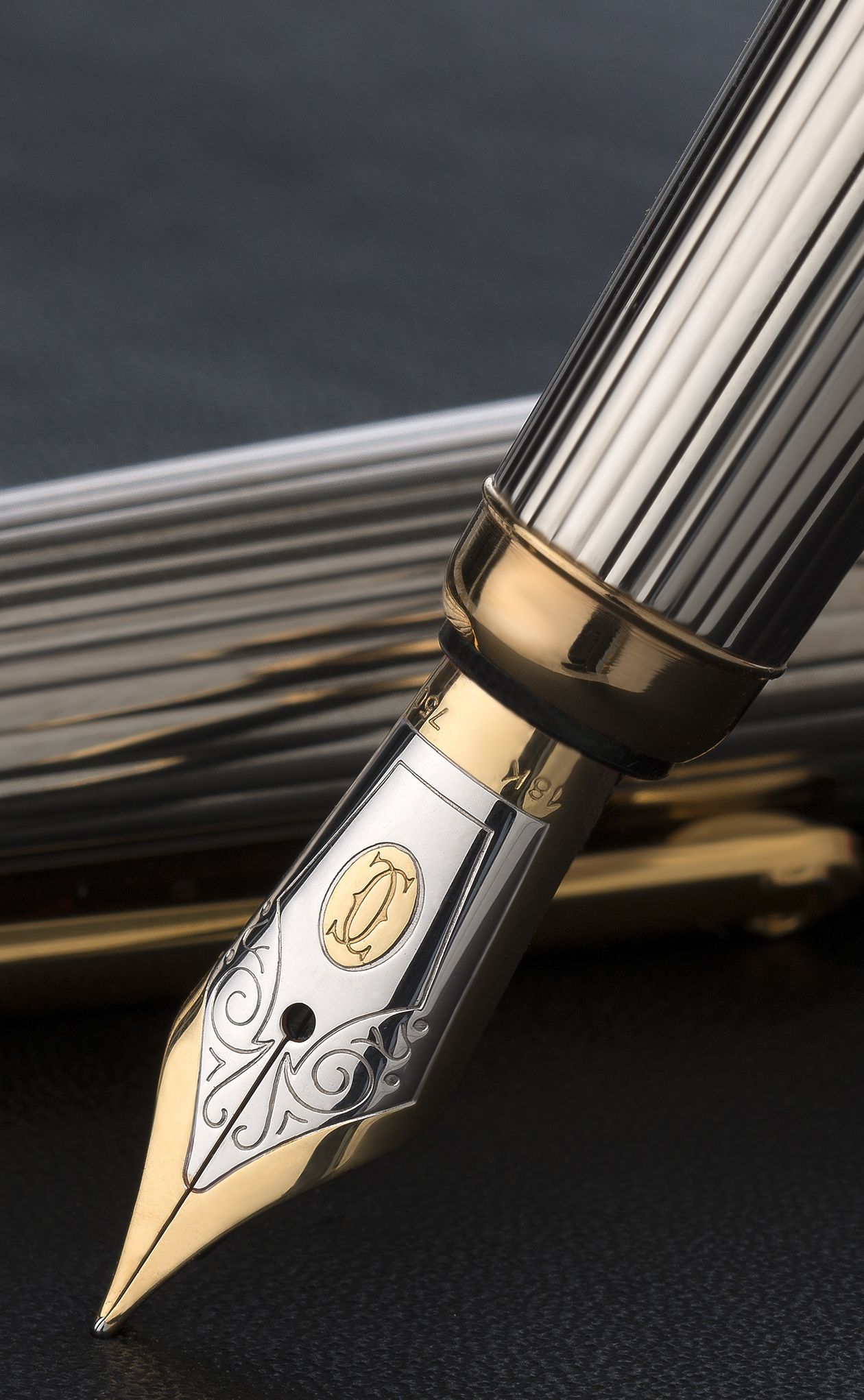Gold and silver fountain pen nib detail — luxury fountain pen craftsmanship