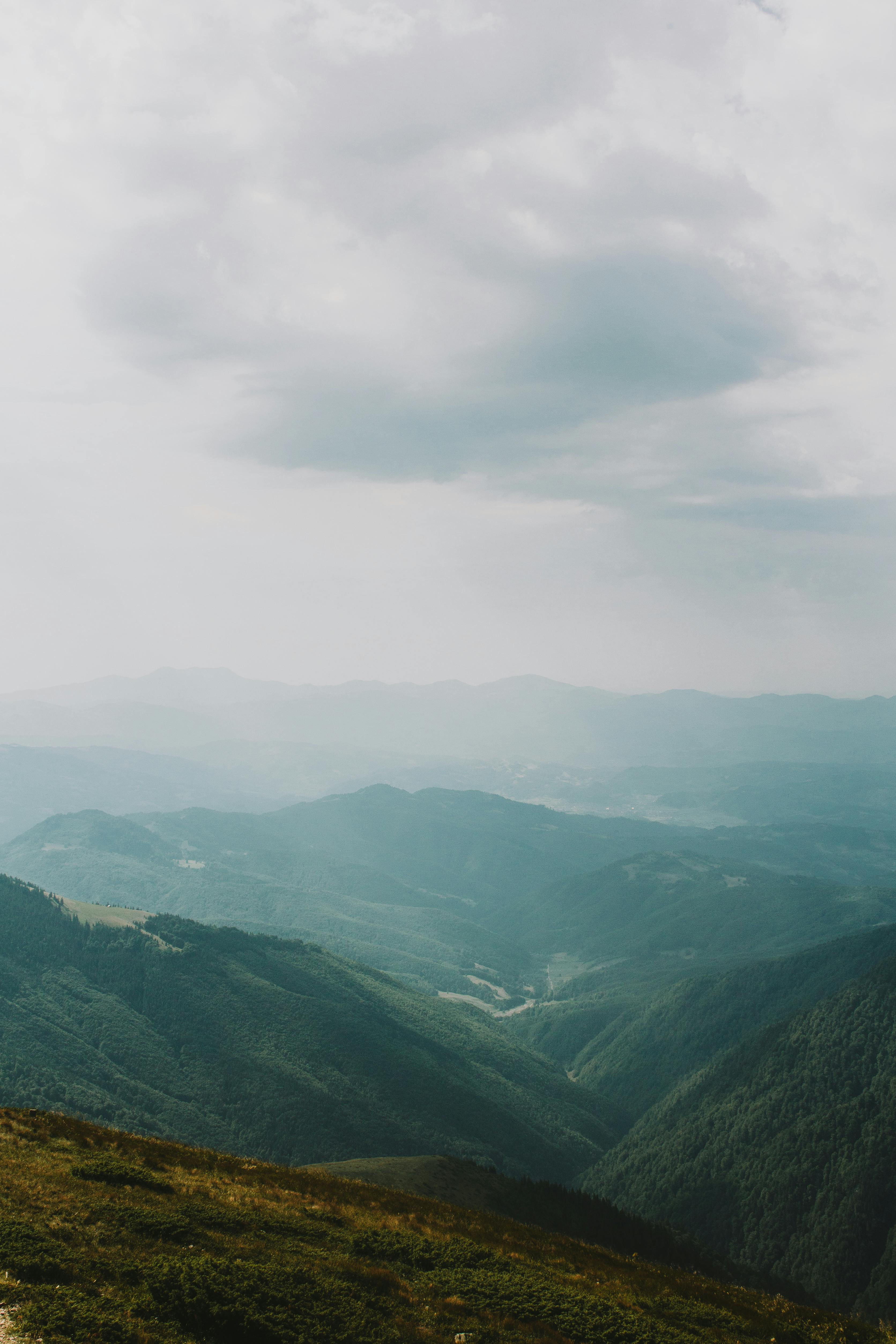 Discover the serene beauty of the Carpathian Mountains in Zakarpattia Oblast, Ukraine.