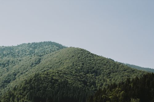 Free Beautiful green hills under a clear sky in the Carpathian Mountains of Ukraine. Stock Photo