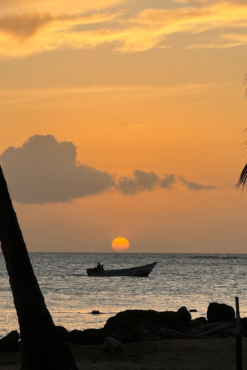 A serene sunset at sea with a silhouetted boat and palm trees in Port of Spain.