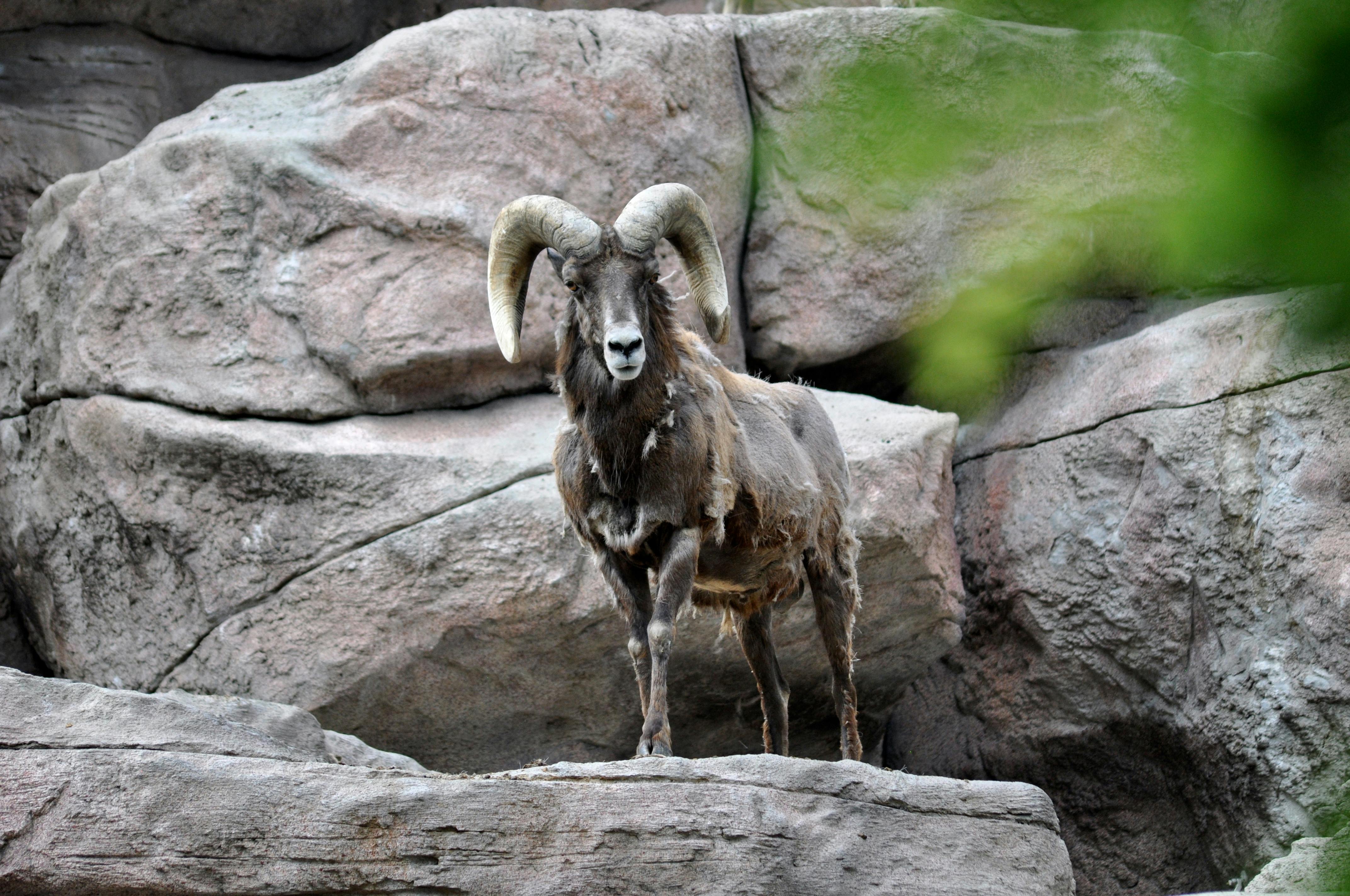 Big Horn Outdoor Adventure Show returns to Spokane — Photo by Matthew Baxter on Pexels