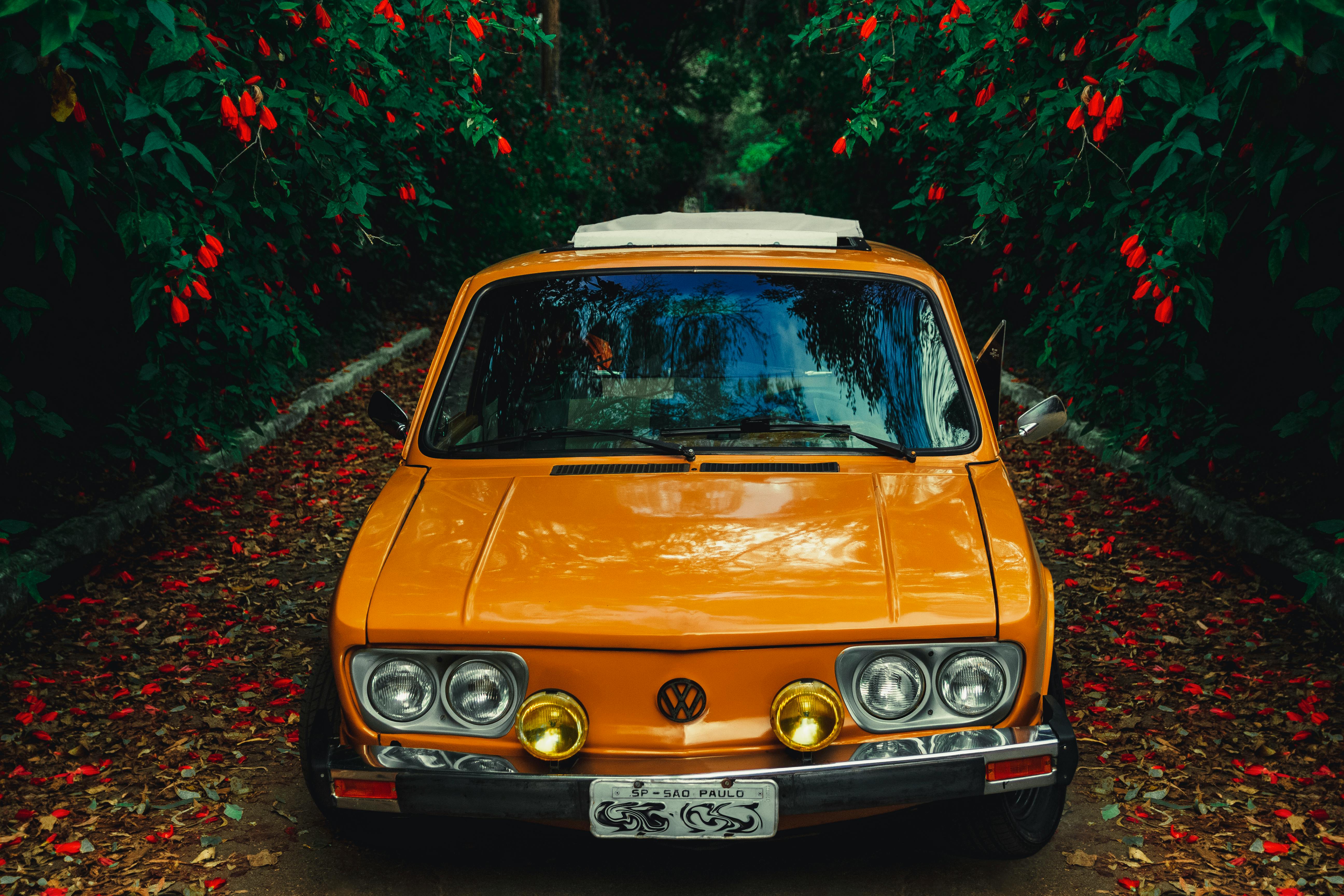 一辆经典的橙色汽车停在绿树成荫的小路上，充满了秋天的气息