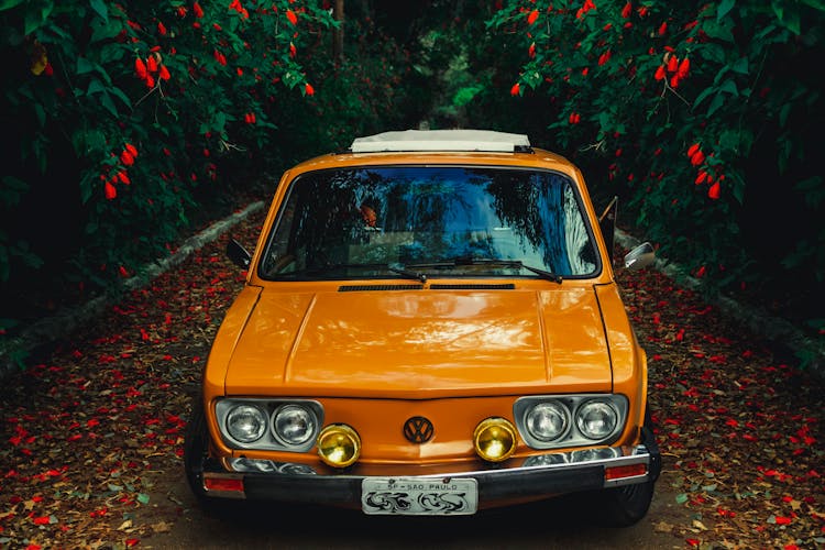 Photo Of Yellow Car Near Plants