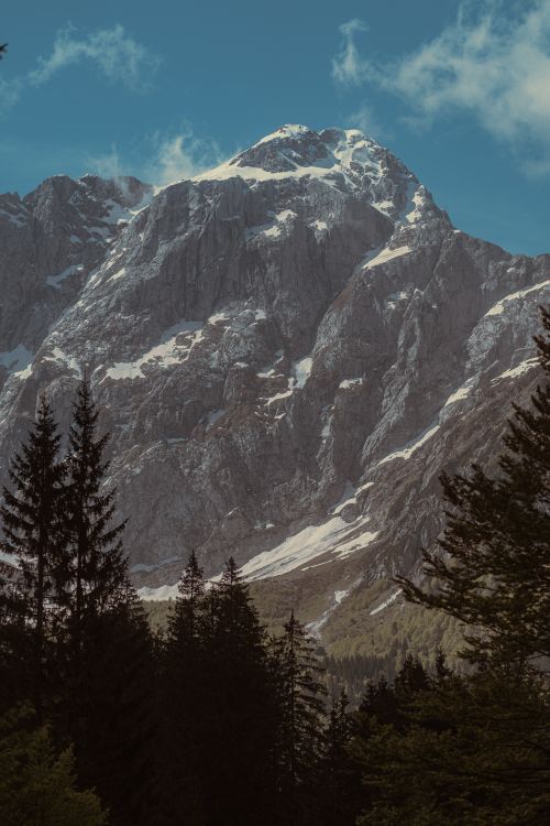Free Majestic snowcapped peak towering over lush conifer forest in Tarvisio, Italy. Stock Photo