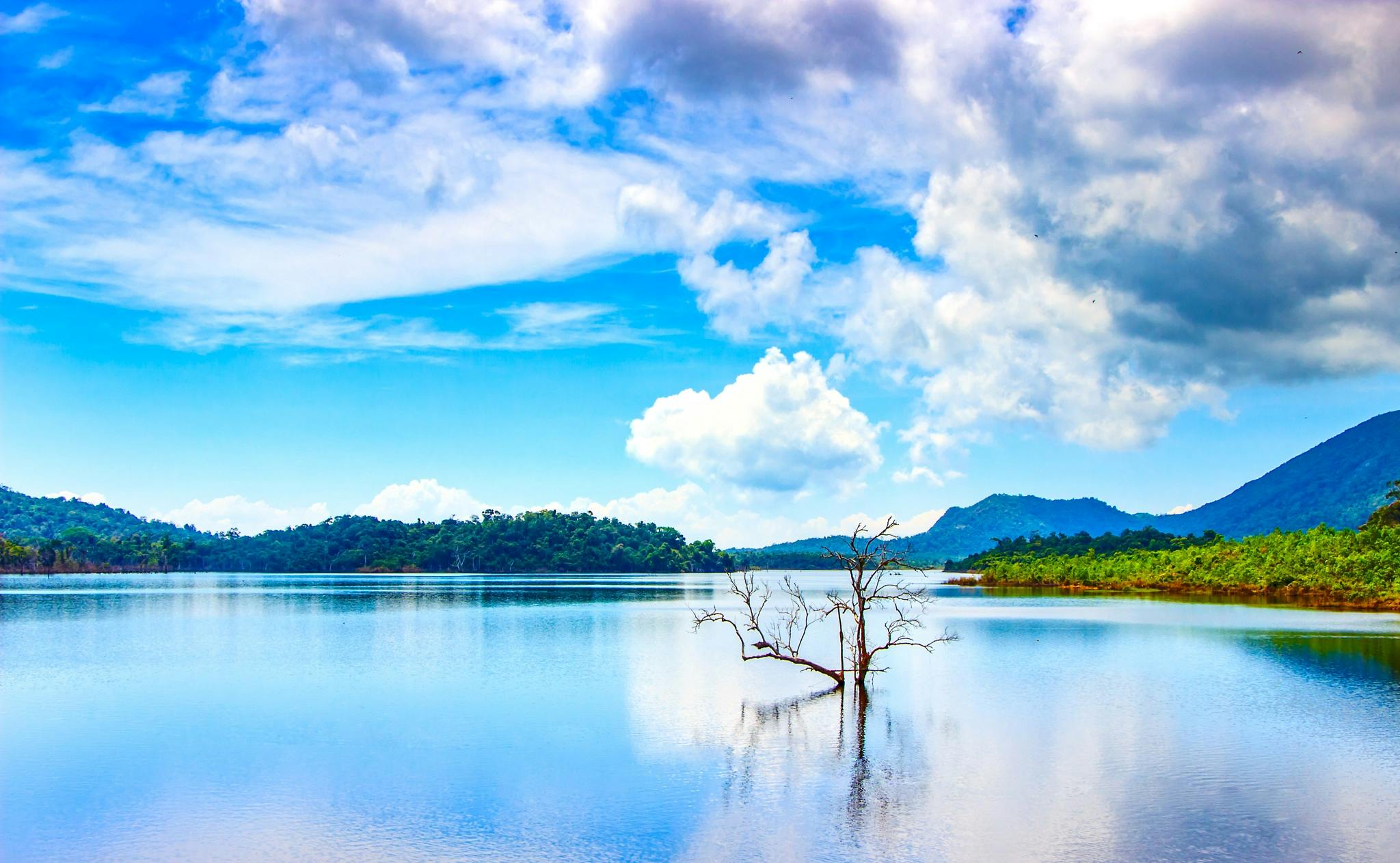 Scenic Train Ride on GoldenPass Line