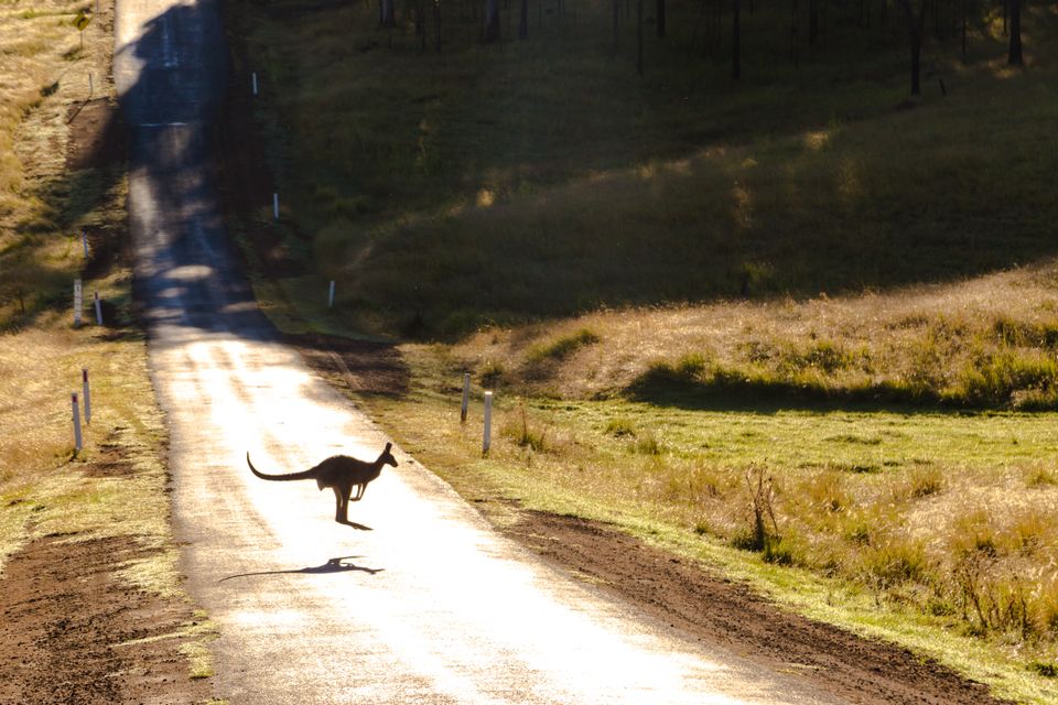in Australien