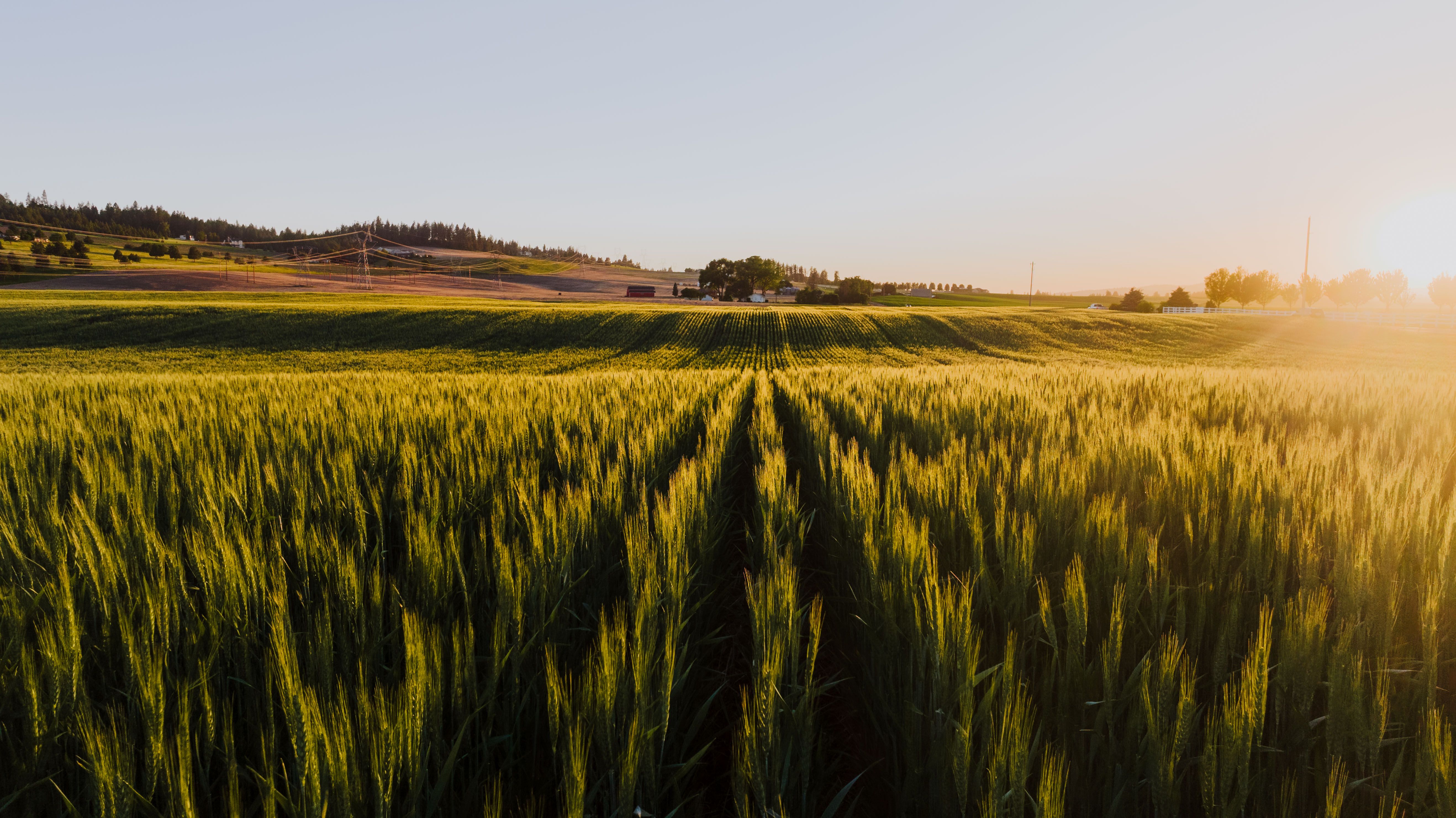Year-end financial planning for farmers — Photo by K on Pexels